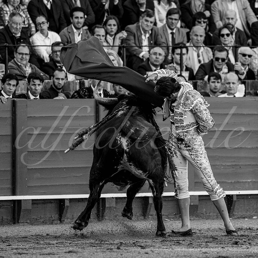 20240409 sevilla 007 bw bd