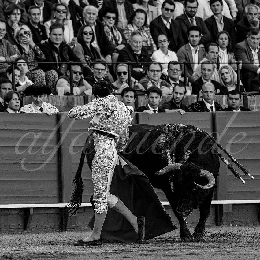 20240409 sevilla 006 bw bd