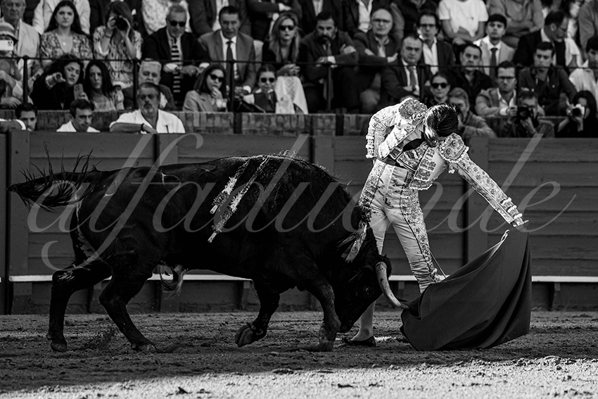 20240409 sevilla 005 bw bd