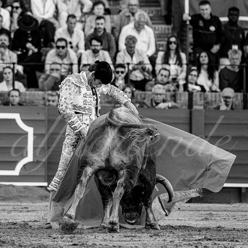 20240409 sevilla 004 bw bd