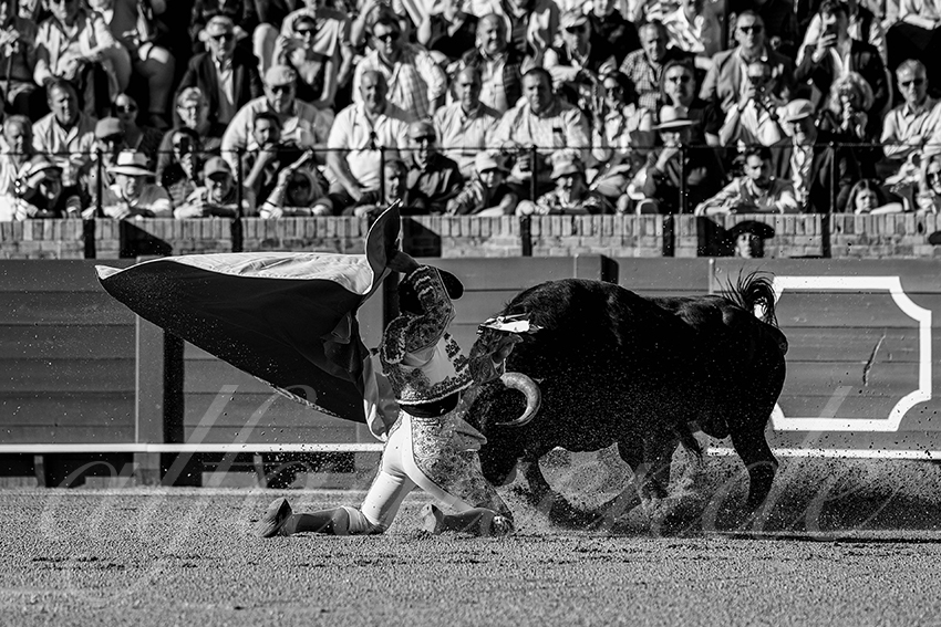 20240409 sevilla 002 bw bd