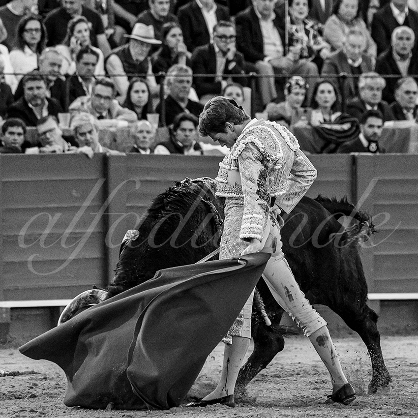 20240410 sevilla 026 bw bd