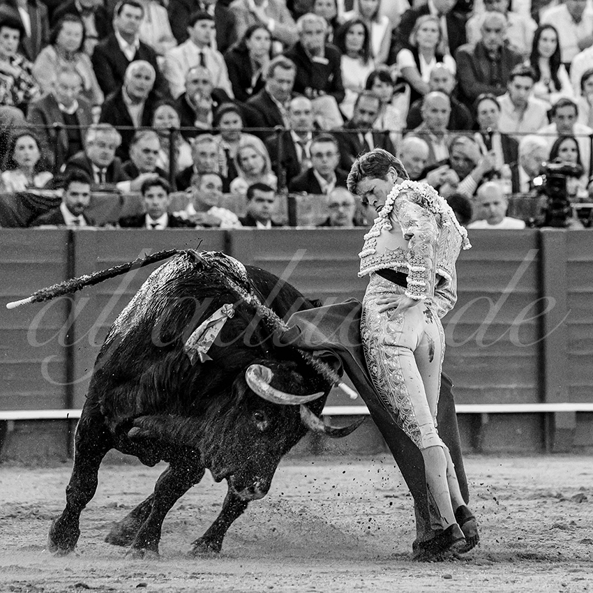 20240410 sevilla 025 bw bd