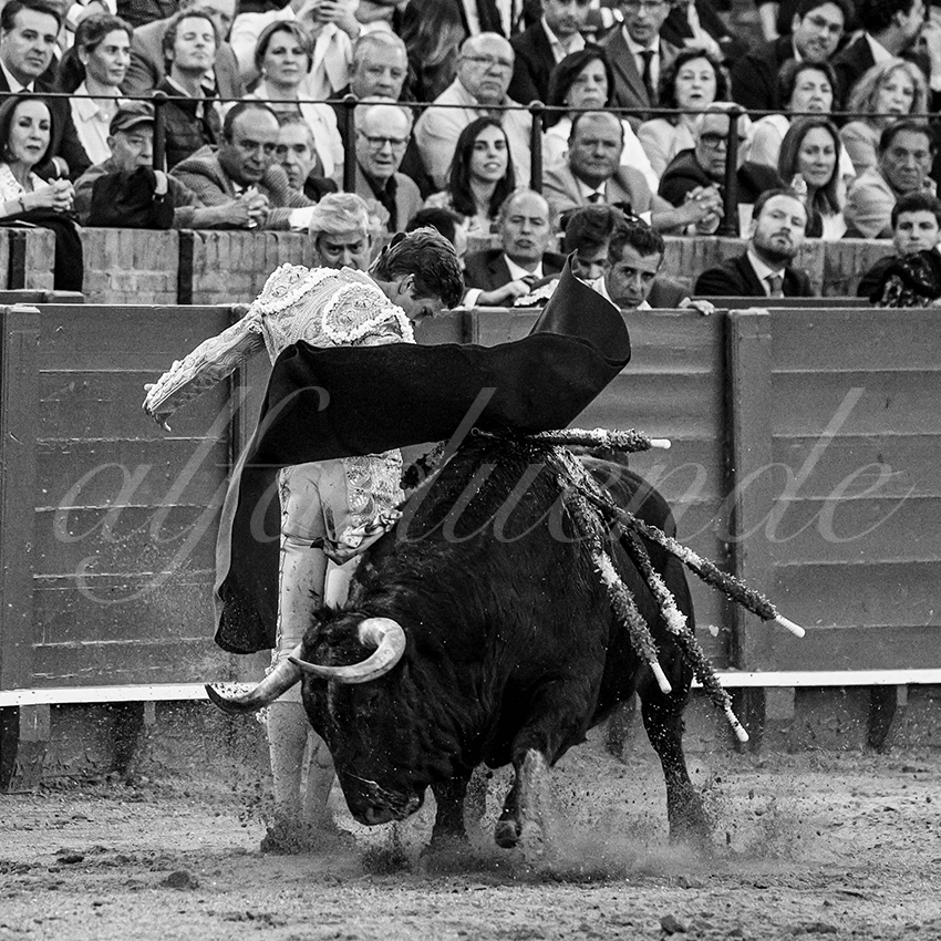 20240410 sevilla 024 bw bd