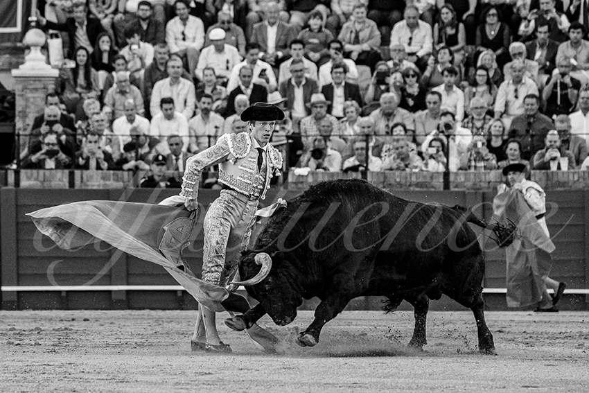 20240410 sevilla 023 bw bd