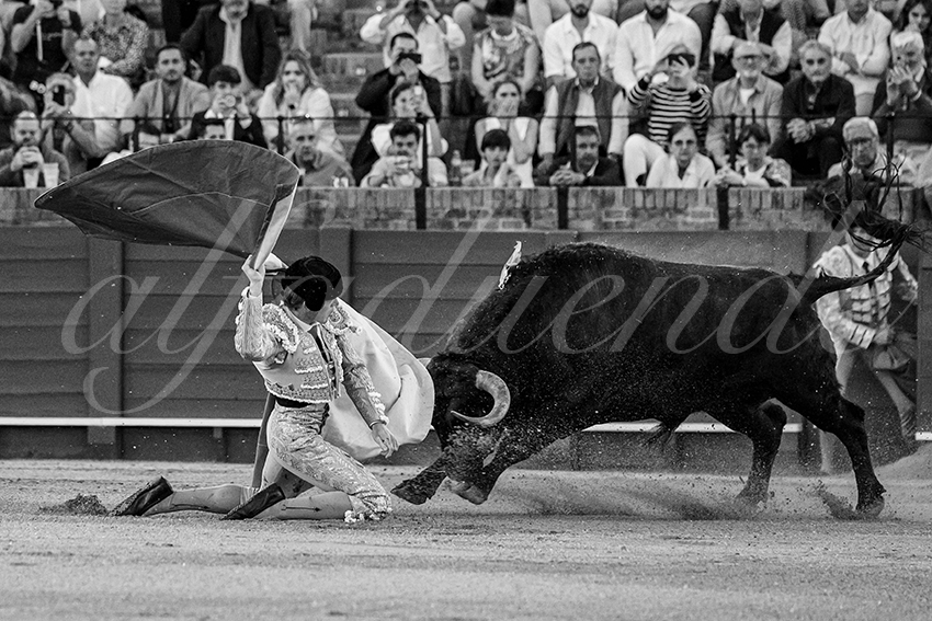 20240410 sevilla 022 bw bd