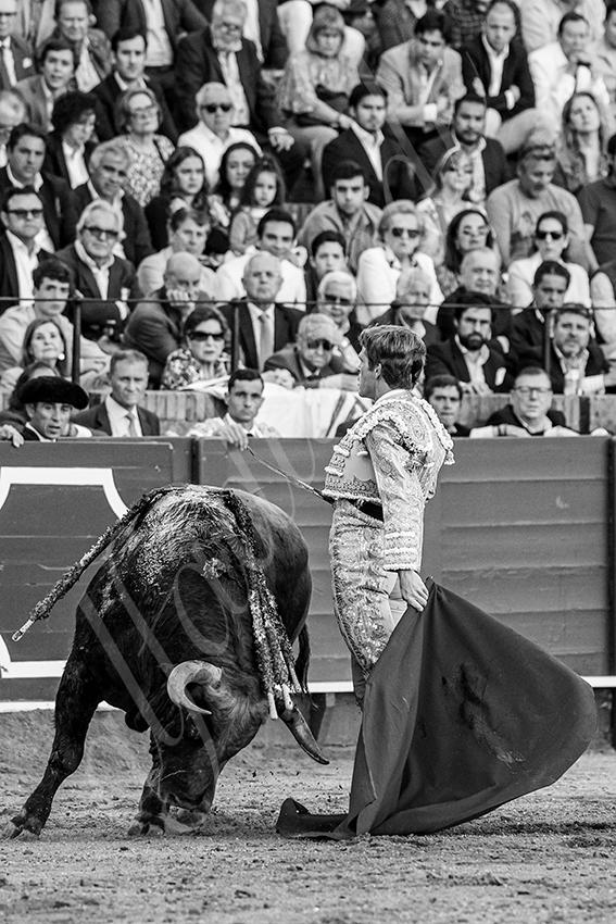 20240410 sevilla 021 bw bd