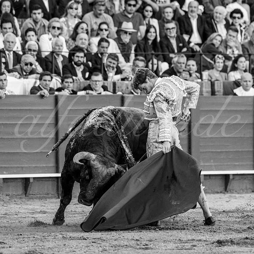 20240410 sevilla 020 bw bd