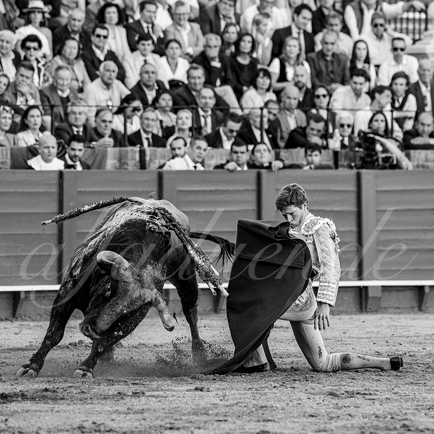 20240410 sevilla 019 bw bd