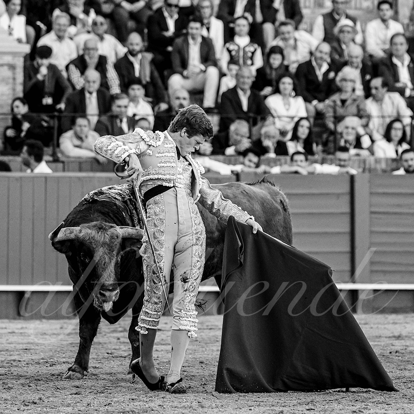 20240410 sevilla 018 bw bd