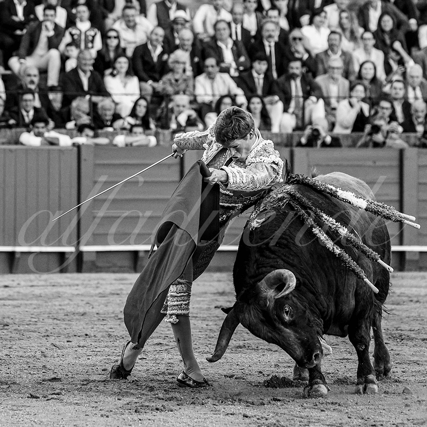 20240410 sevilla 017 bw bd