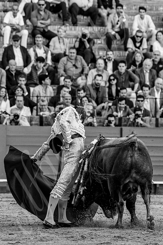 20240410 sevilla 016 bw bd