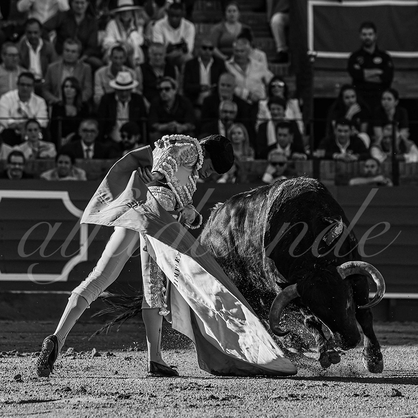 20240410 sevilla 015 bw bd