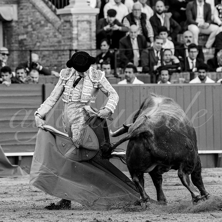 20240410 sevilla 014 bw bd