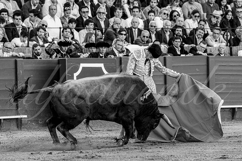 20240410 sevilla 013 bw bd