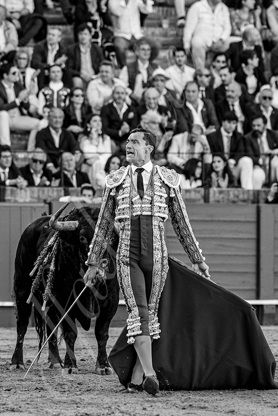 20240410 sevilla 012 bw bd