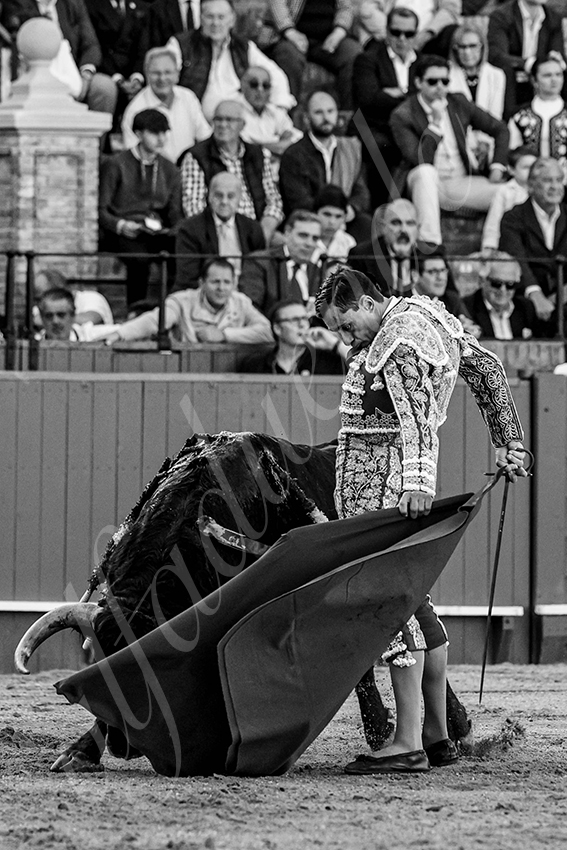 20240410 sevilla 011 bw bd