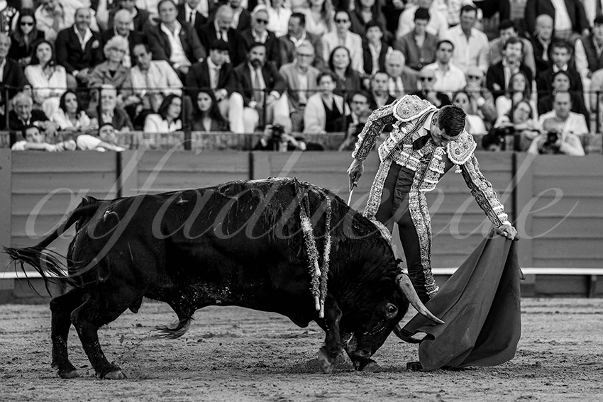 20240410 sevilla 010 bw bd