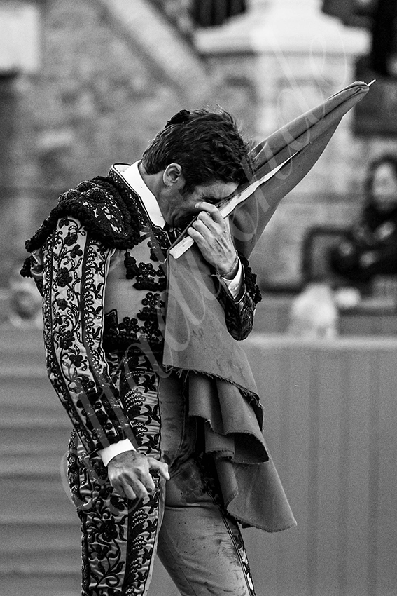 20240410 sevilla 008 bw bd