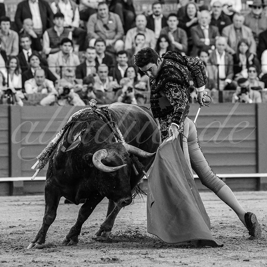 20240410 sevilla 007 bw bd