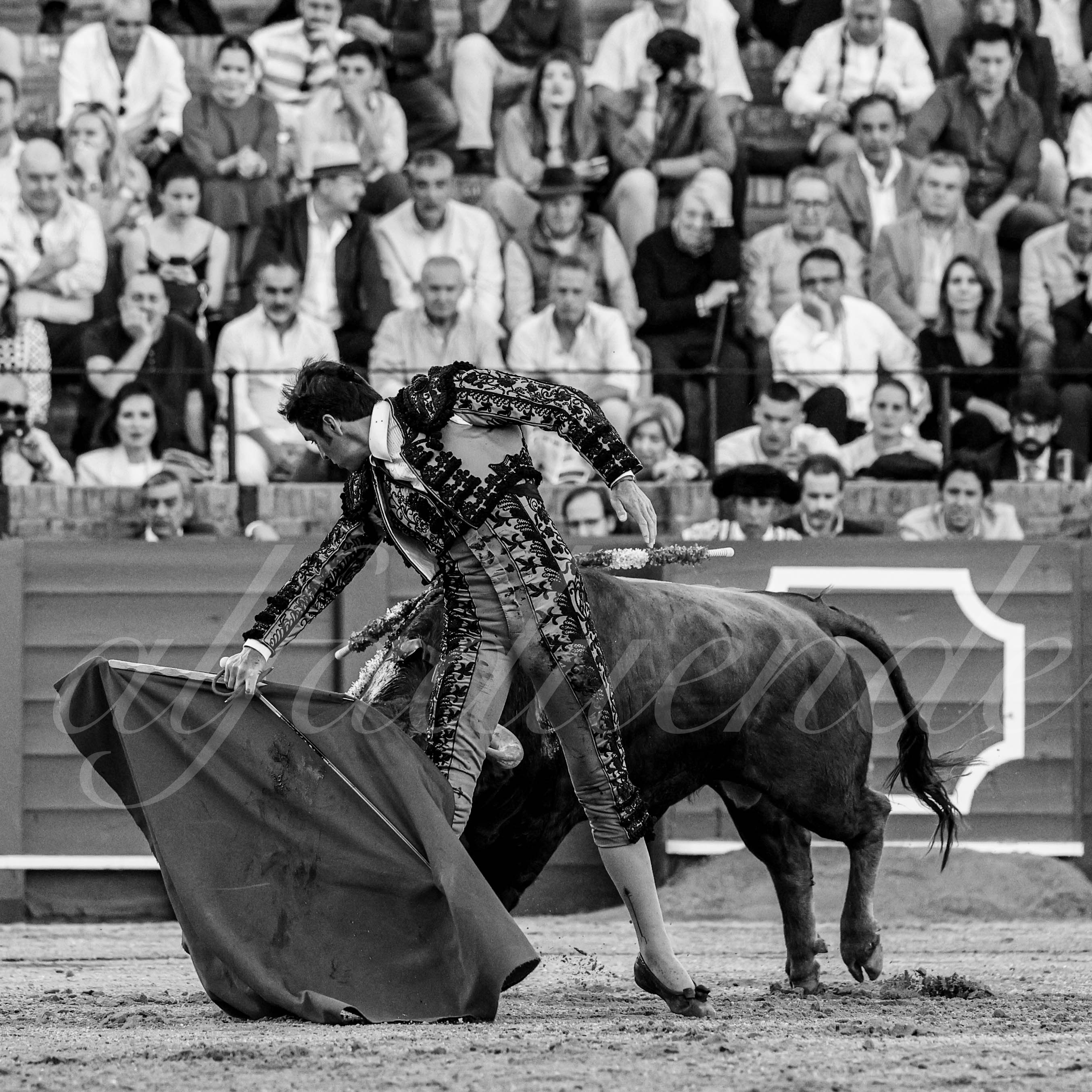 20240410 sevilla 006 bw bd