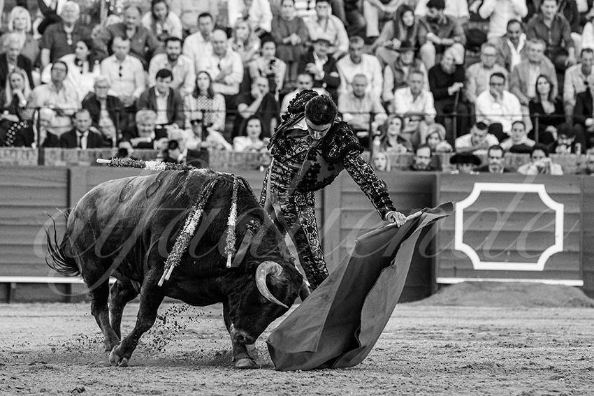 20240410 sevilla 005 bw bd