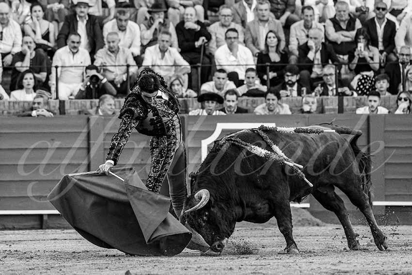 20240410 sevilla 004 bw bd