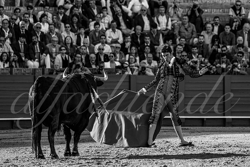 20240410 sevilla 003 bw bd