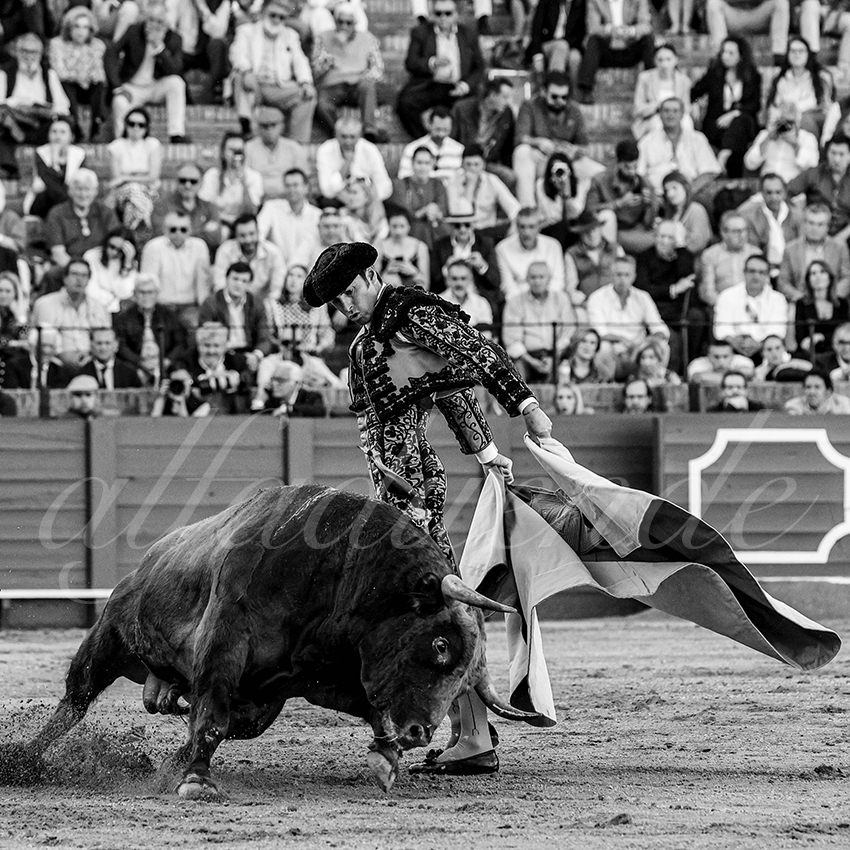 20240410 sevilla 002 bw bd