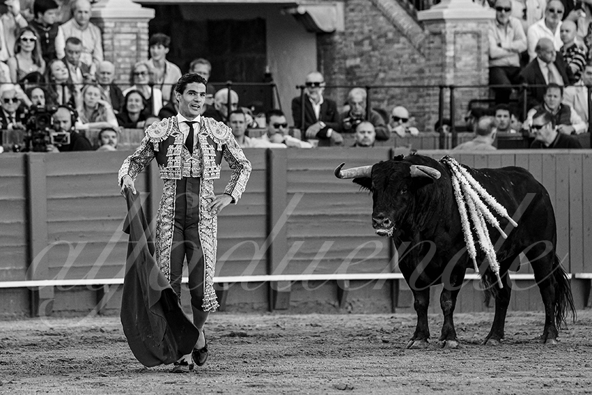 20240411 sevilla 019 bd