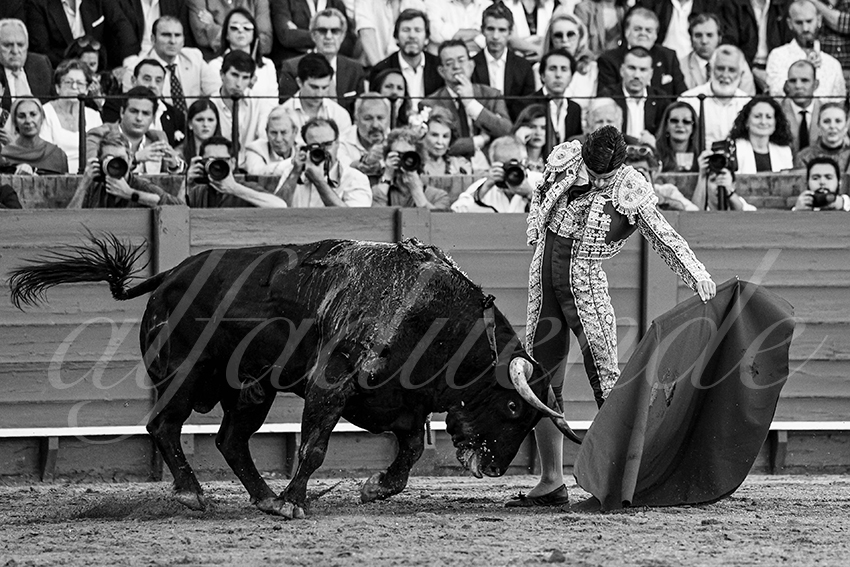 20240411 sevilla 018 bd