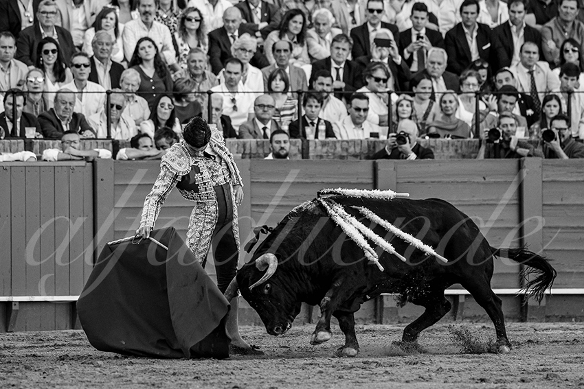 20240411 sevilla 017 bd