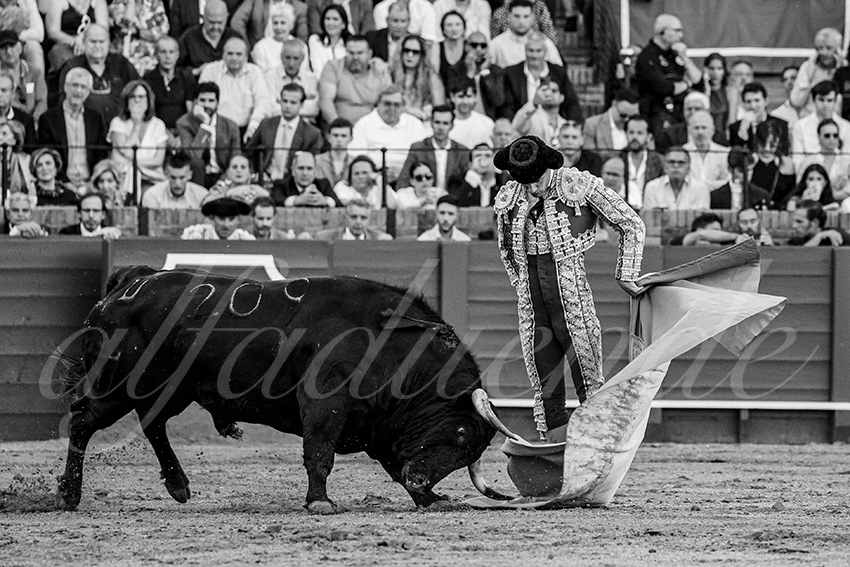 20240411 sevilla 016 bd