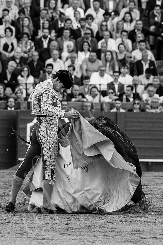 20240411 sevilla 015 bd