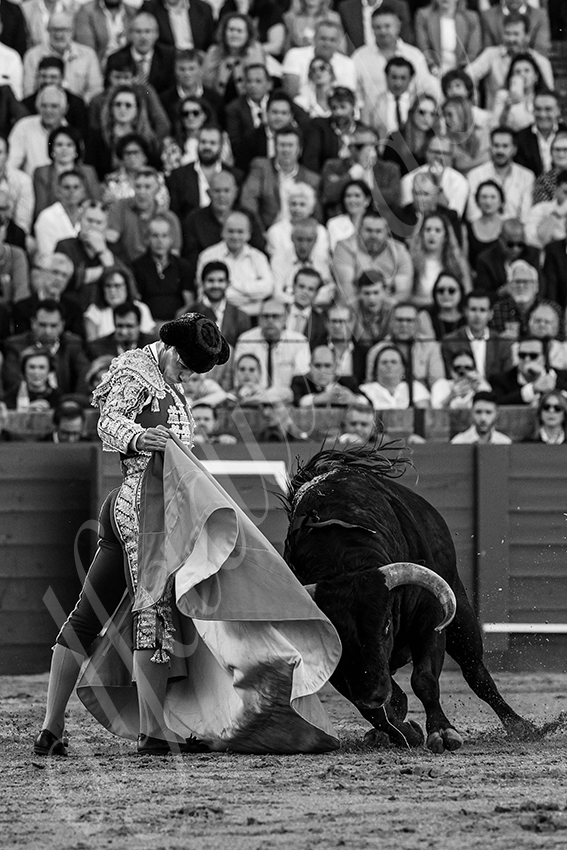 20240411 sevilla 014 bd