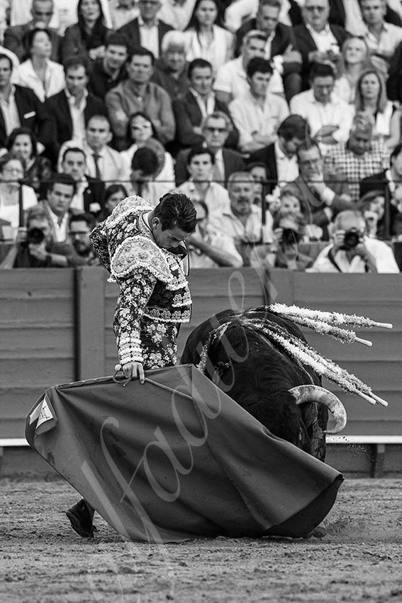 20240411 sevilla 013 bd