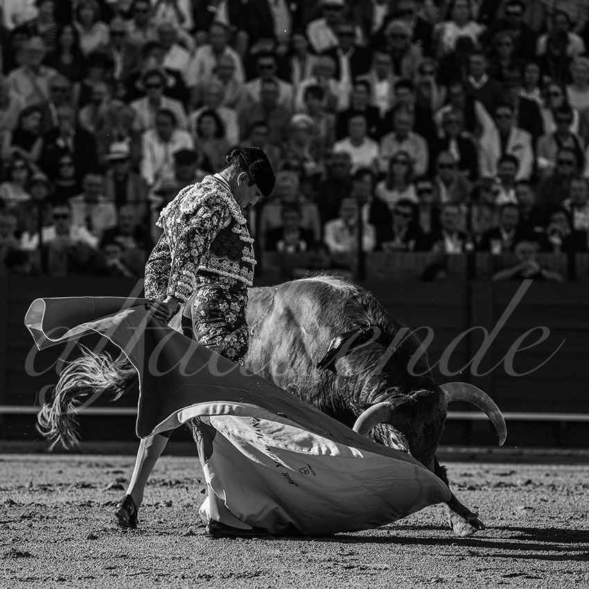 20240411 sevilla 012 bd