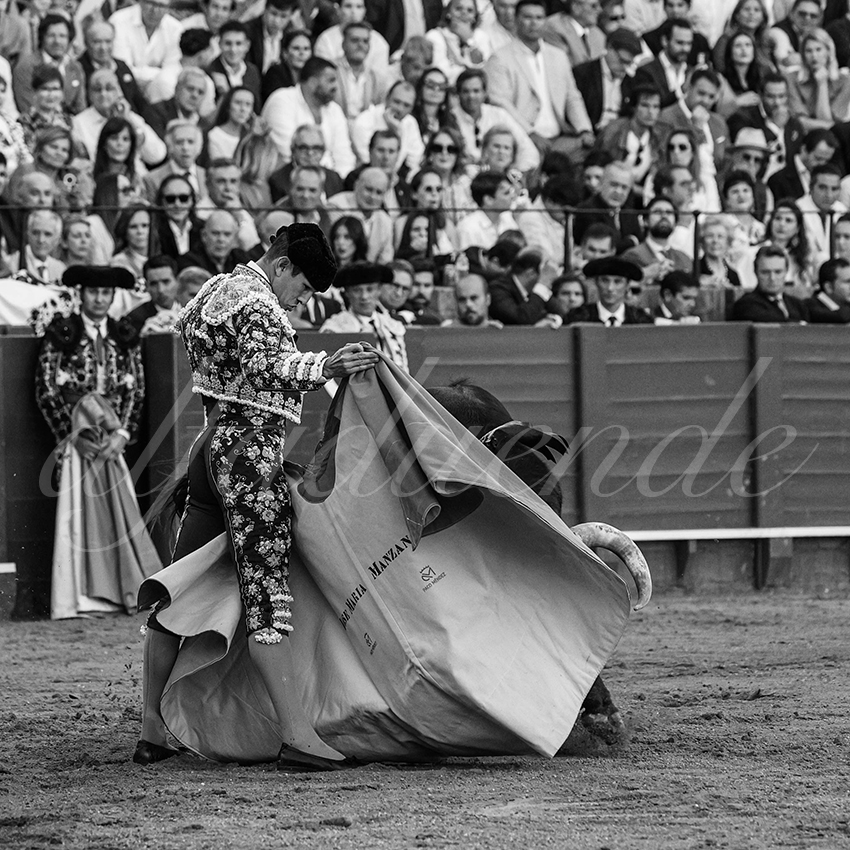 20240411 sevilla 011 bd