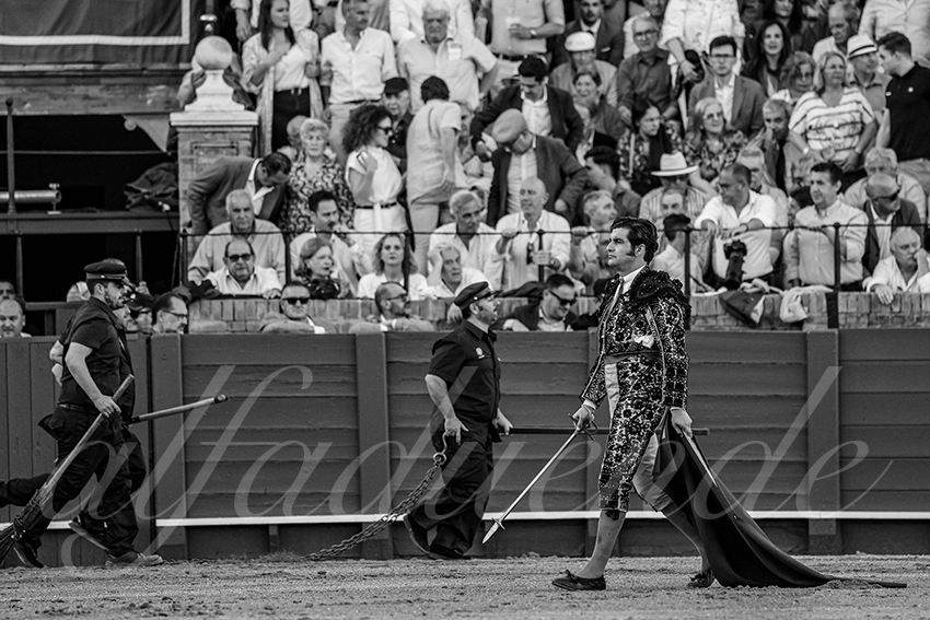 20240411 sevilla 010 bd