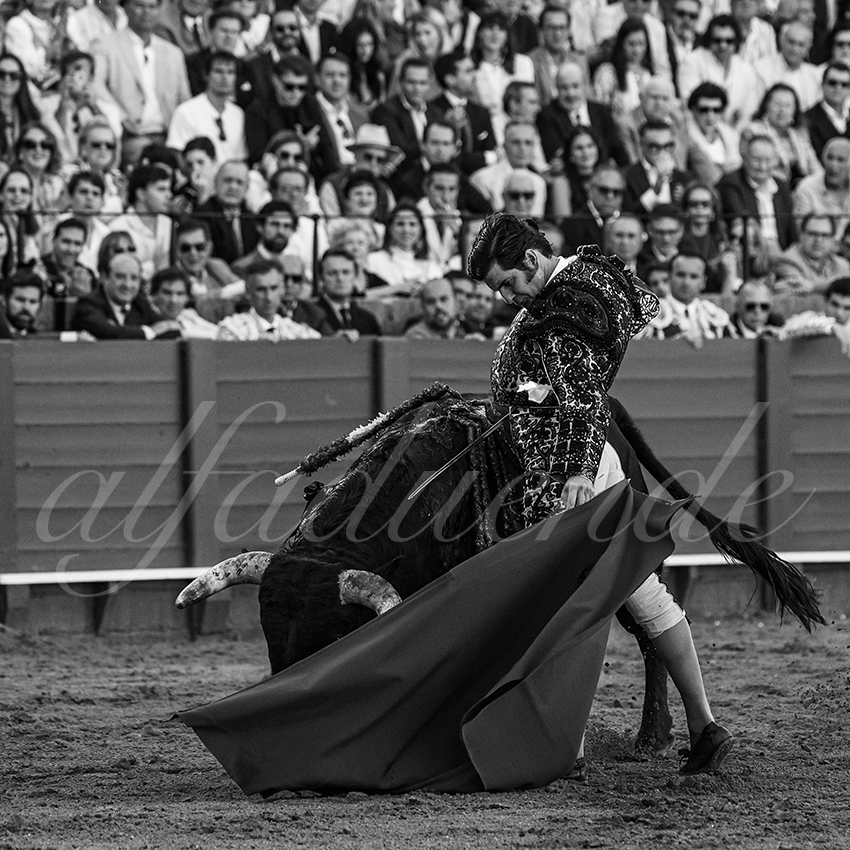 20240411 sevilla 009 bd