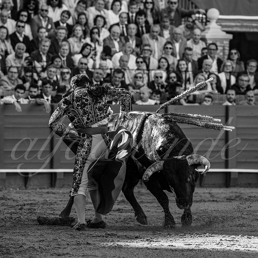 20240411 sevilla 008 bd