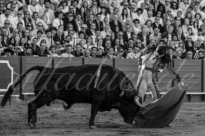 20240411 sevilla 007 bd