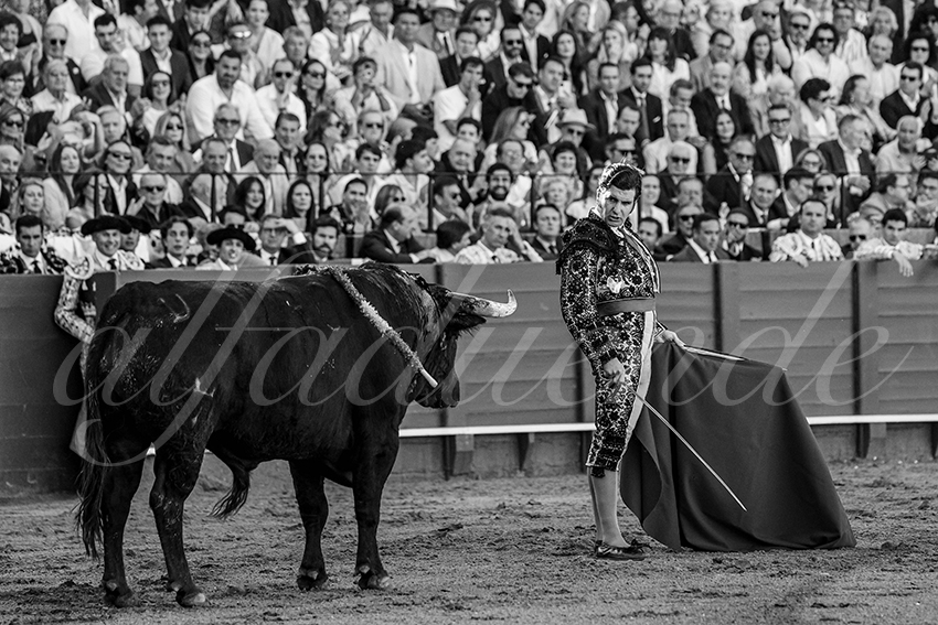 20240411 sevilla 006 bd