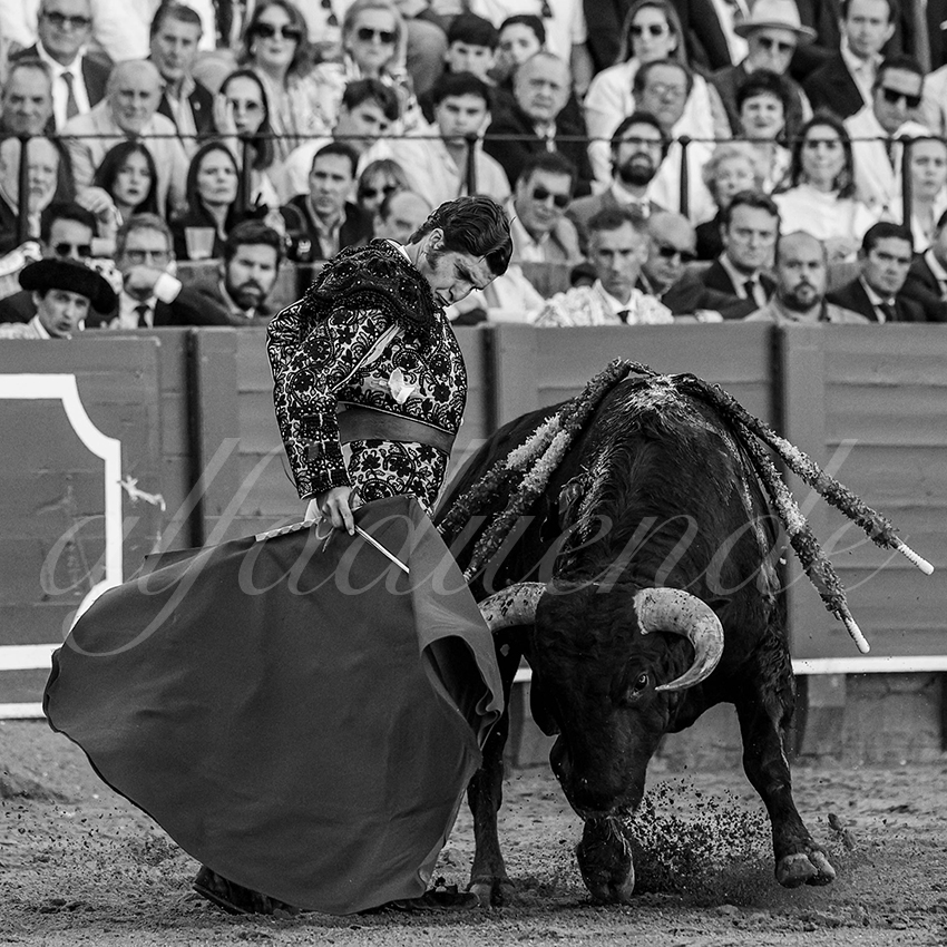 20240411 sevilla 005 bd