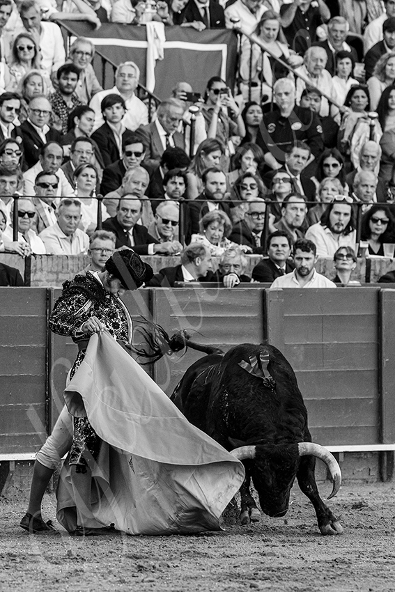 20240411 sevilla 003 bd