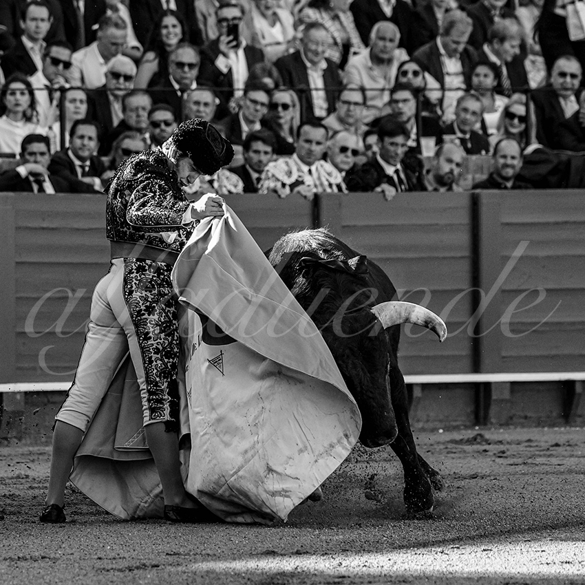 20240411 sevilla 002 bd