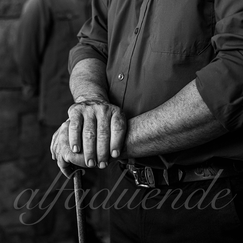 20240411 sevilla 001 bd