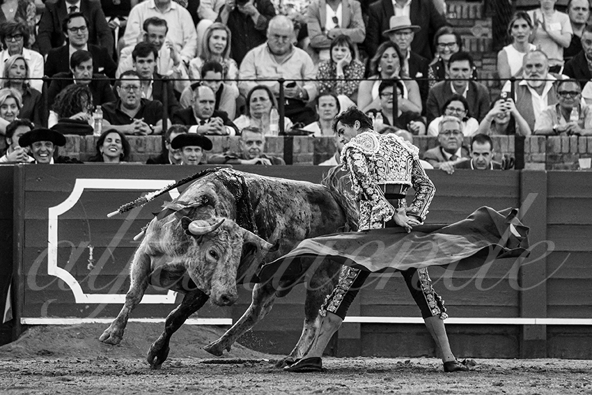 20240412 sevilla 026 bd