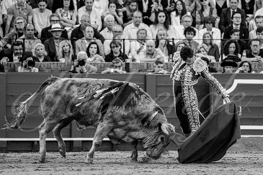 20240412 sevilla 025 bd