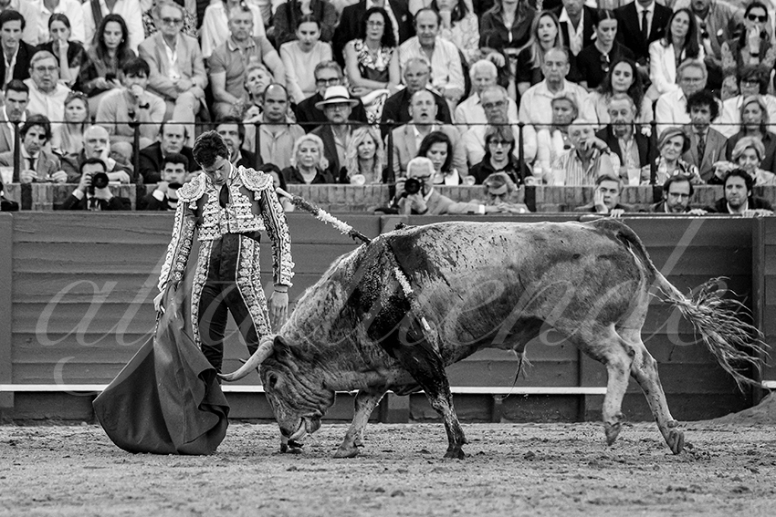 20240412 sevilla 024 bd